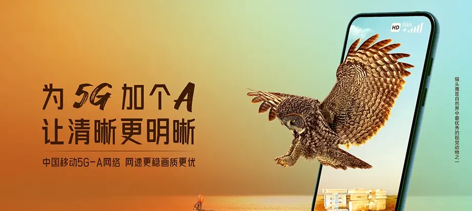 宝兴县宝兴县穆坪镇 移动宽带